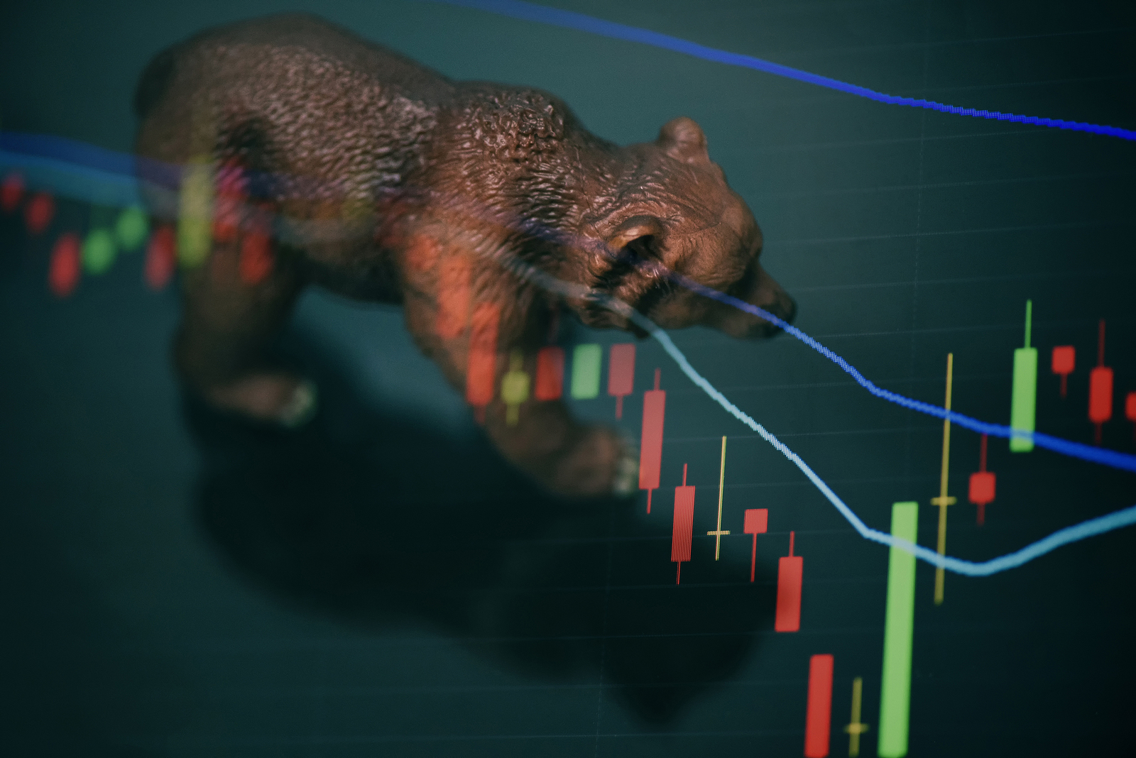 The Importance Of A Diversified Portfolio In A Bear Market