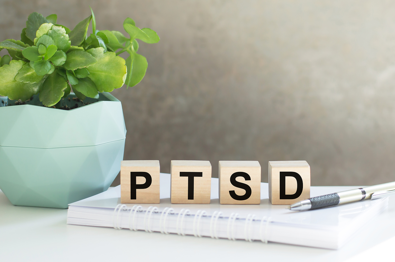 Planning For Long Term Care With PTSD In Mind